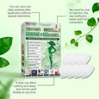 Moringa Berberine Patches,2026 Upgraded Moringa 10-in-1 Nano Microdarts Patch,Suitable for All Skin Types Natural Herbal Body Patch for Women Men